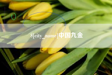 南宁中国九金