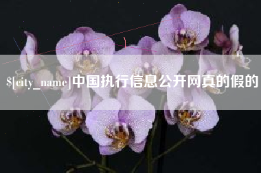 南宁中国执行信息公开网真的假的