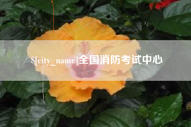 南宁全国消防考试中心