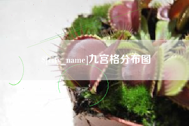 南宁九宫格分布图