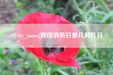 南宁我国消防日是几月几日
