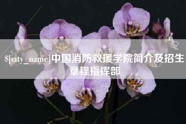 南宁中国消防救援学院简介及招生章程指挥部