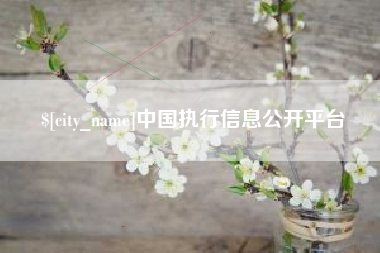 南宁中国执行信息公开平台
