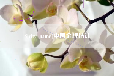 南宁中国金牌估计