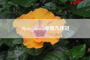 南宁中国九连冠