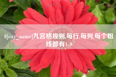 南宁九宫格规则,每行,每列,每个粗线都有1-9