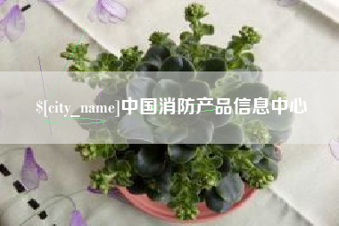南宁中国消防产品信息中心