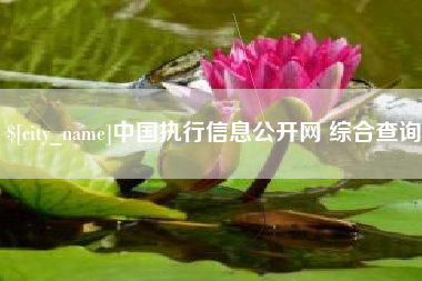 南宁中国执行信息公开网 综合查询