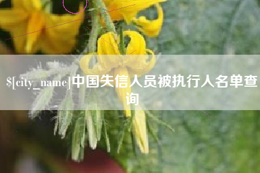 南宁中国失信人员被执行人名单查询