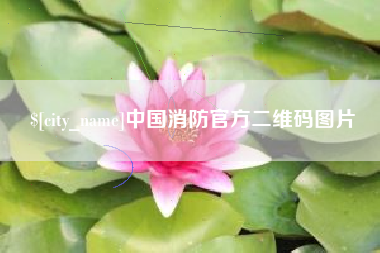 南宁中国消防官方二维码图片