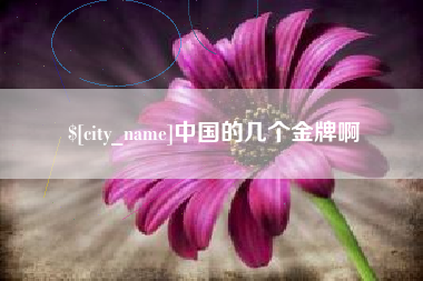 南宁中国的几个金牌啊