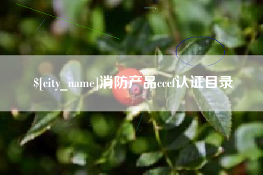 南宁消防产品cccf认证目录
