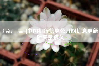 南宁中国执行信息公开网信息更新时间是多久