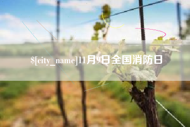 南宁11月9日全国消防日