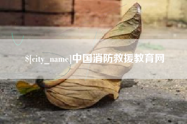 南宁中国消防救援教育网