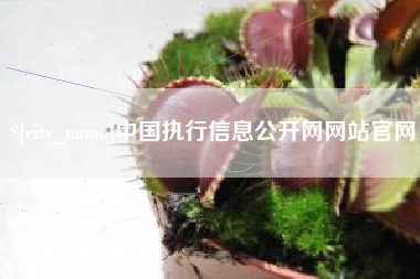 南宁中国执行信息公开网网站官网