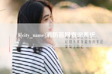 南宁消防官网查询系统