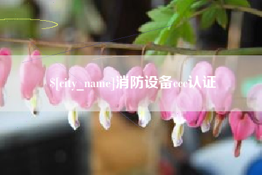 南宁消防设备ccc认证