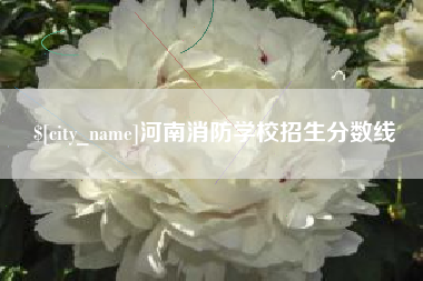 南宁河南消防学校招生分数线