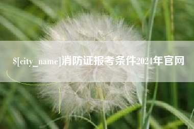 南宁消防证报考条件2024年官网