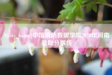 南宁中国消防救援学院2020年河南录取分数线
