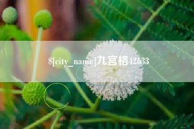南宁九宫格42633