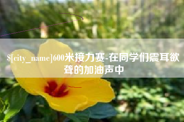南宁600米接力赛-在同学们震耳欲聋的加油声中