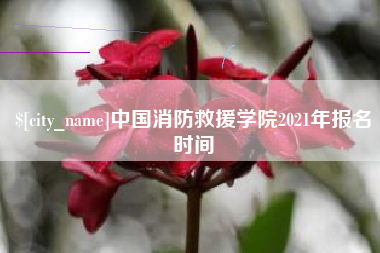 南宁中国消防救援学院2021年报名时间