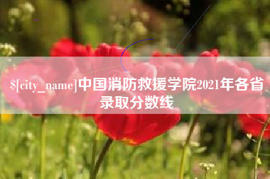 南宁中国消防救援学院2021年各省录取分数线