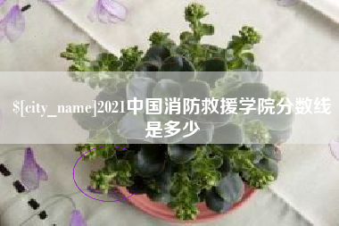 南宁2021中国消防救援学院分数线是多少
