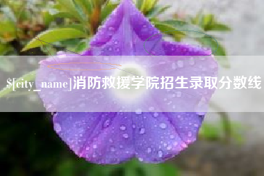 南宁消防救援学院招生录取分数线
