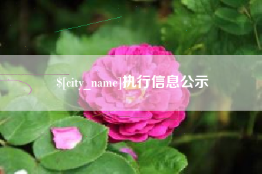 南宁执行信息公示