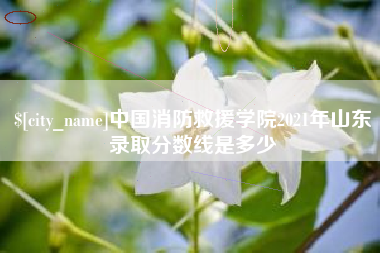 南宁中国消防救援学院2021年山东录取分数线是多少