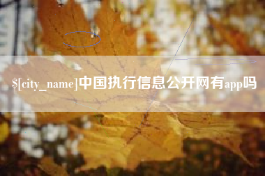 南宁中国执行信息公开网有app吗