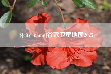 南宁谷歌卫星地图2025