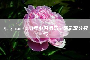南宁2021年中国消防学院录取分数线