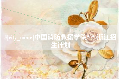 南宁中国消防救援学院2020浙江招生计划