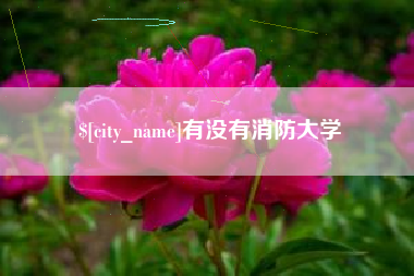 南宁有没有消防大学