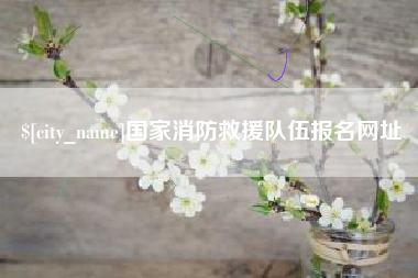 南宁国家消防救援队伍报名网址