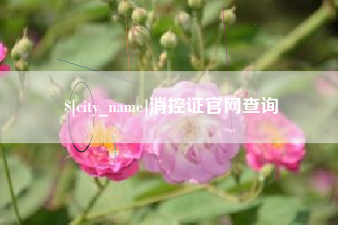 南宁消控证官网查询