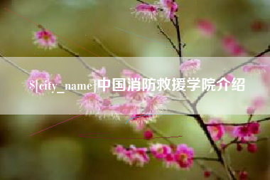 南宁中国消防救援学院介绍