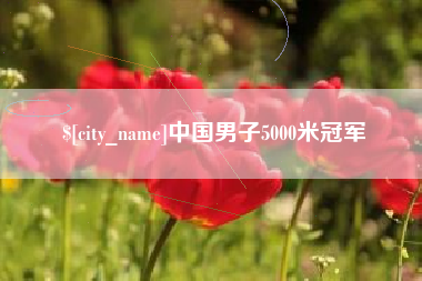 南宁中国男子5000米冠军