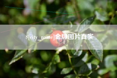 南宁金牌图片真实