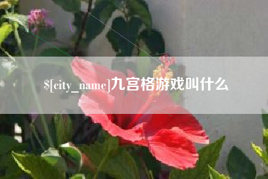 南宁九宫格游戏叫什么