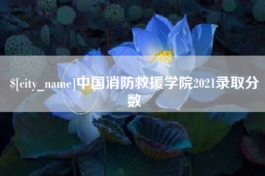 南宁中国消防救援学院2021录取分数