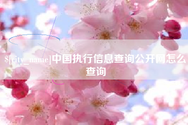 南宁中国执行信息查询公开网怎么查询