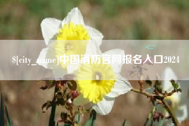 南宁中国消防官网报名入口2024
