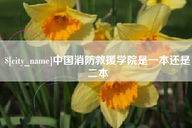 南宁中国消防救援学院是一本还是二本