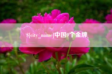 南宁中国9个金牌