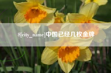 南宁中国已经几枚金牌